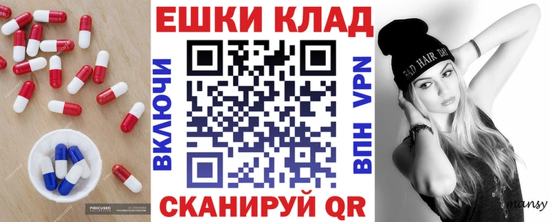 OMG вход Всеволожск Ecstasy DUBAI