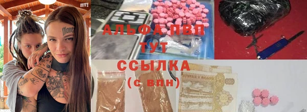 сатива Белокуриха