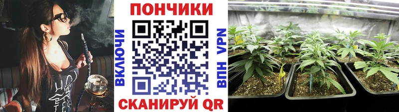 ОМГ ОМГ зеркало  закладки  Всеволожск  Конопля SATIVA & INDICA 